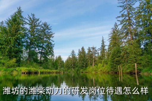 濰坊的濰柴動力的研發(fā)崗位待遇怎么樣