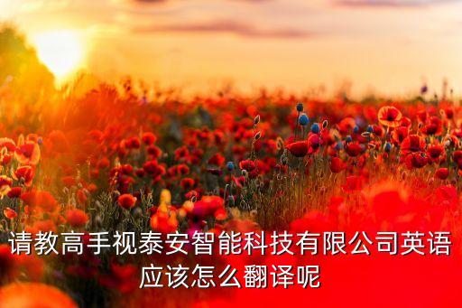 請教高手視泰安智能科技有限公司英語應(yīng)該怎么翻譯呢