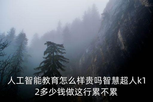 人工智能教育怎么樣貴嗎智慧超人k12多少錢做這行累不累