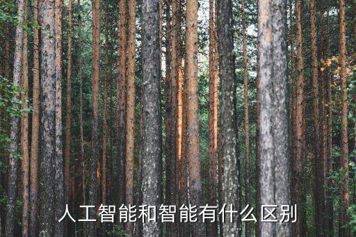 智能科技有什么區(qū)別，自動化 智能科學(xué)與技術(shù) 這兩個專業(yè)在以后的方向上有哪些差異
