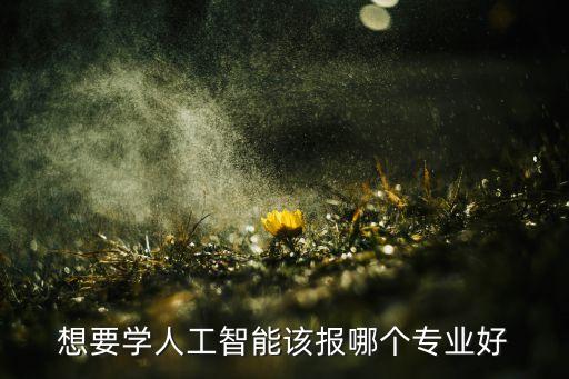 科技管理和人工智能哪個(gè)好，IT 做技術(shù)好還是做管理好