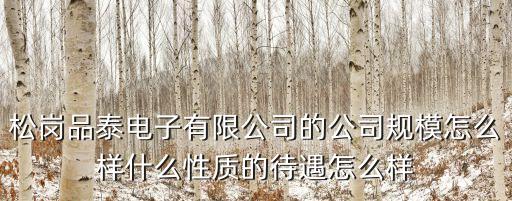 松崗品泰電子有限公司的公司規(guī)模怎么樣什么性質(zhì)的待遇怎么樣