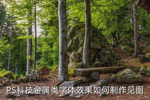 PS科技金屬類字體效果如何制作見(jiàn)圖