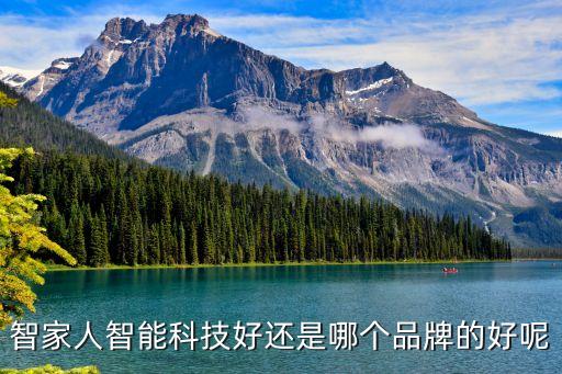 智能科技產品哪個最好，智家人智能科技好還是哪個品牌的好呢