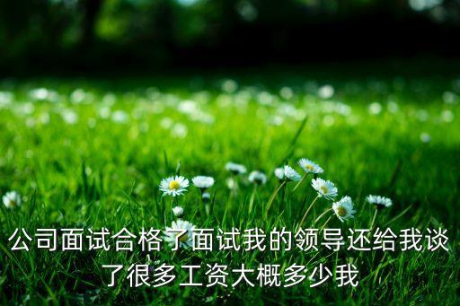 公司面試合格了面試我的領(lǐng)導(dǎo)還給我談了很多工資大概多少我
