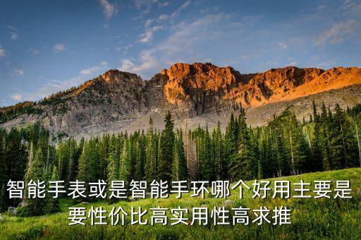 智能手表或是智能手環(huán)哪個好用主要是要性價比高實用性高求推