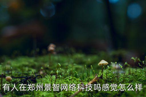 景吾智能科技怎么樣，有人在鄭州景智網(wǎng)絡(luò)科技嗎感覺怎么樣