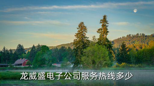龍威盛電子公司服務(wù)熱線多少