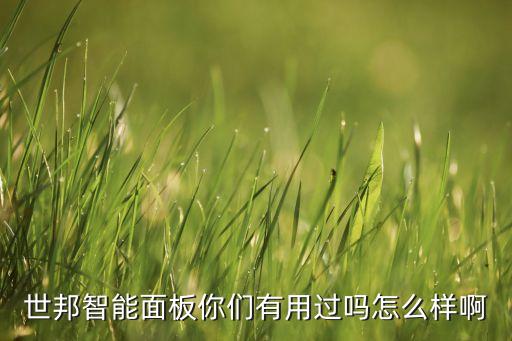 世邦智能面板你們有用過嗎怎么樣啊