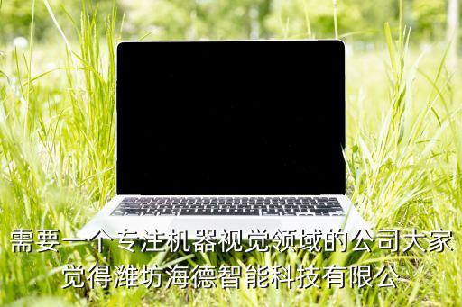 需要一個(gè)專注機(jī)器視覺(jué)領(lǐng)域的公司大家覺(jué)得濰坊海德智能科技有限公