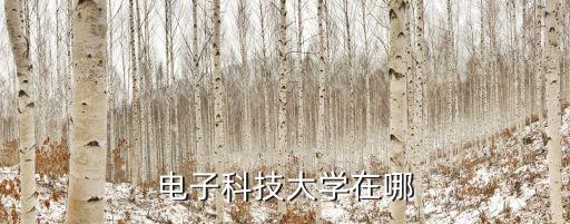 成都智能科技學(xué)院在哪里，電子科技大學(xué)在哪