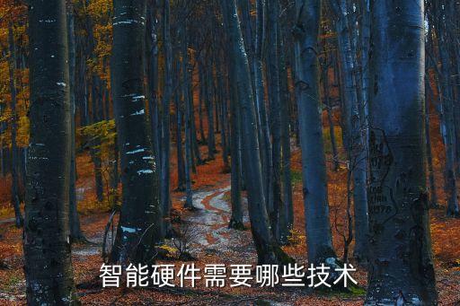 智能硬件科技有哪些，開發(fā)智能硬件需要哪些技術(shù)