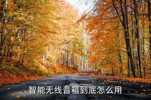 智能無(wú)線音箱到底怎么用