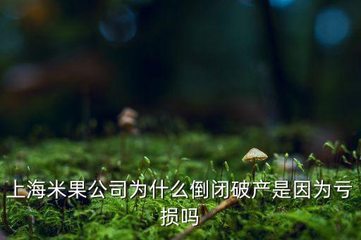 上海米果公司為什么倒閉破產(chǎn)是因?yàn)樘潛p嗎