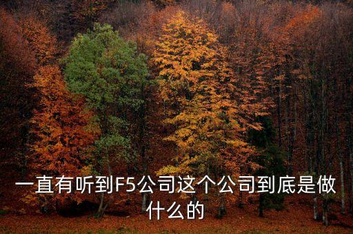 沈陽飛拓智能科技是干什么工作，人才啊這家公司主要是做什么的