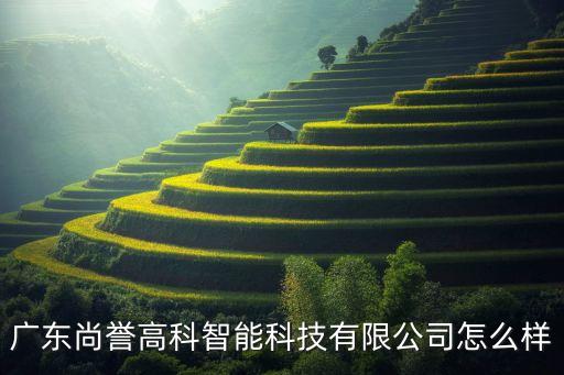 廣東尚譽(yù)高科智能科技有限公司怎么樣