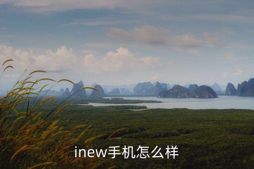 中山永鼎智能科技怎么樣，中山市it行業(yè)怎么樣比較好的軟件公司有哪些