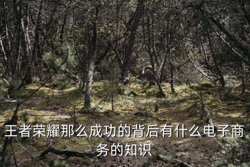 中江智能科技怎么樣，王者榮耀那么成功的背后有什么電子商務(wù)的知識(shí)