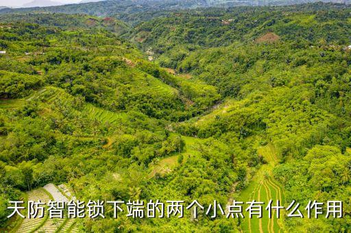 天防智能鎖下端的兩個(gè)小點(diǎn)有什么作用