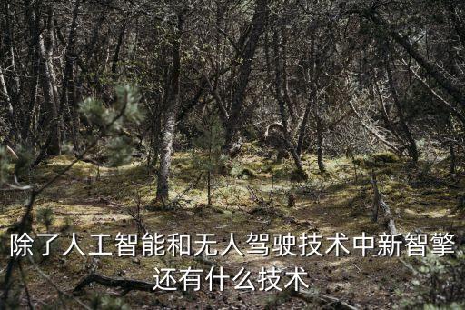 除了人工智能和無人駕駛技術(shù)中新智擎還有什么技術(shù)