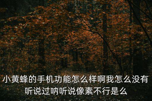 小黃蜂的手機(jī)功能怎么樣啊我怎么沒有聽說過吶聽說像素不行是么
