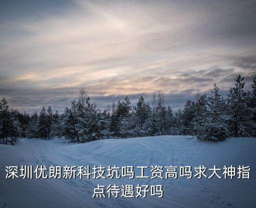 深圳優(yōu)朗新科技坑嗎工資高嗎求大神指點(diǎn)待遇好嗎