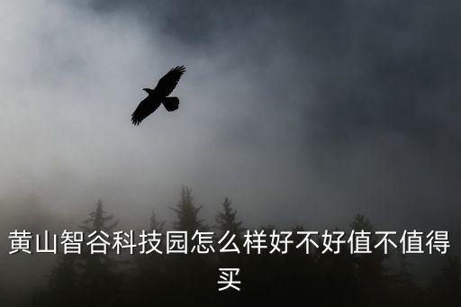 安徽光谷智能科技怎么樣，黃山智谷科技園怎么樣好不好值不值得買