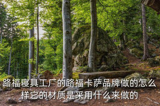 路福智能科技怎么樣，德國威勒床和德國路福智能床的優(yōu)缺點哪個好