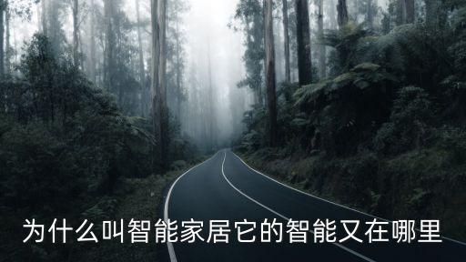 智能家居是黑科技嗎為什么，智能家居是什么 最近看兩個(gè)房地產(chǎn)商在較勁一家打著智能家居的