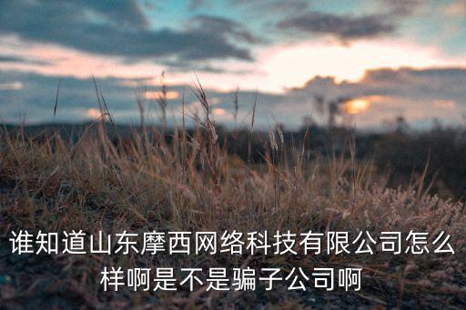 誰知道山東摩西網(wǎng)絡(luò)科技有限公司怎么樣啊是不是騙子公司啊