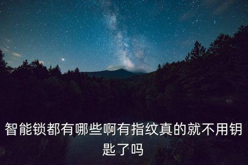智能鎖都有哪些啊有指紋真的就不用鑰匙了嗎