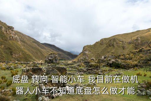 底盤 轉(zhuǎn)向 智能小車 我目前在做機(jī)器人小車不知道底盤怎么做才能