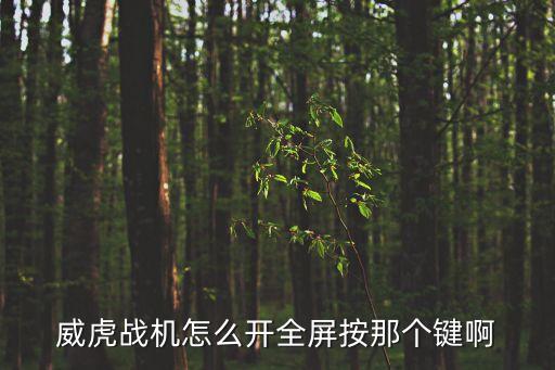 河南威虎智能科技怎么用，威虎戰(zhàn)機怎么開全屏按那個鍵啊