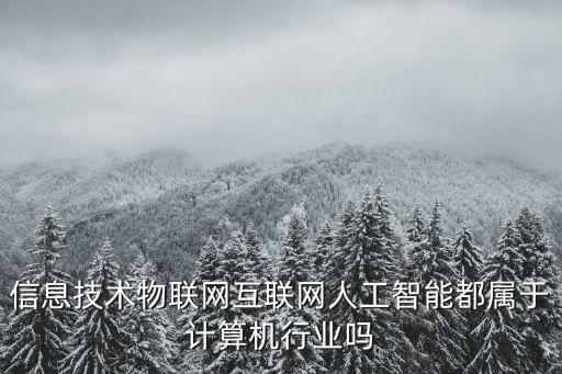 信息技術(shù)物聯(lián)網(wǎng)互聯(lián)網(wǎng)人工智能都屬于計算機行業(yè)嗎