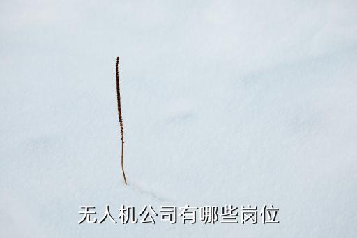 無人機公司有哪些崗位