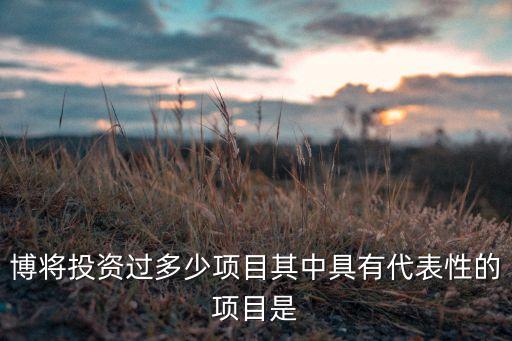 博將投資過(guò)多少項(xiàng)目其中具有代表性的項(xiàng)目是