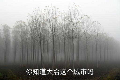 大冶智能科技城在哪里，你知道大冶這個(gè)城市嗎