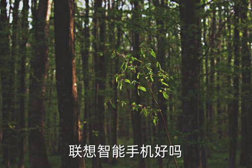 聯(lián)想智能科技怎么樣，聯(lián)想智能手機(jī)好嗎