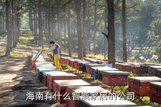 海南有什么智能家居的公司
