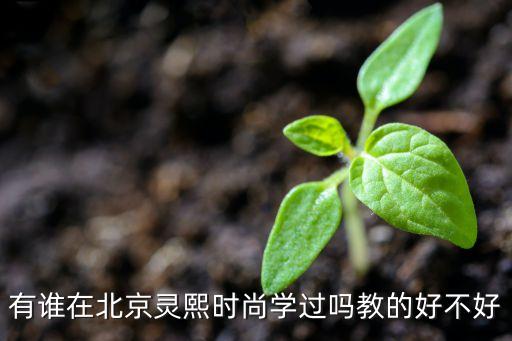 有誰在北京靈熙時尚學過嗎教的好不好