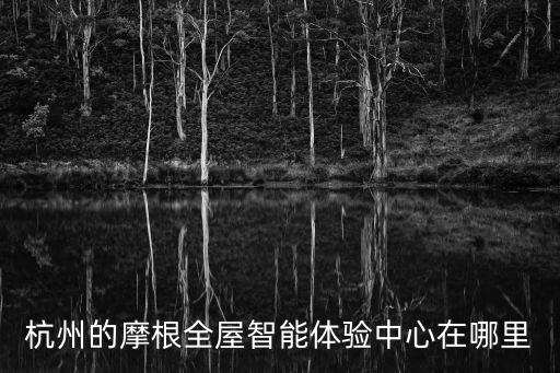 智能科技購(gòu)物中心在哪里，電子科技廣場(chǎng)在哪條路