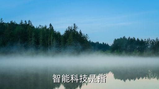 大頭智能科技是什么意思，大頭科技的早教機器人Q6多少錢好用嗎
