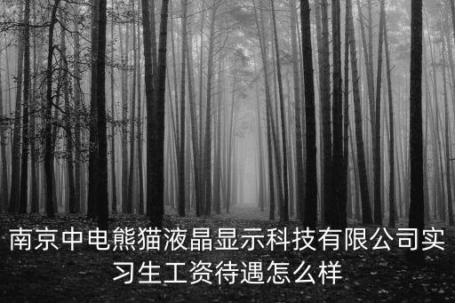 南京中電熊貓液晶顯示科技有限公司實(shí)習(xí)生工資待遇怎么樣