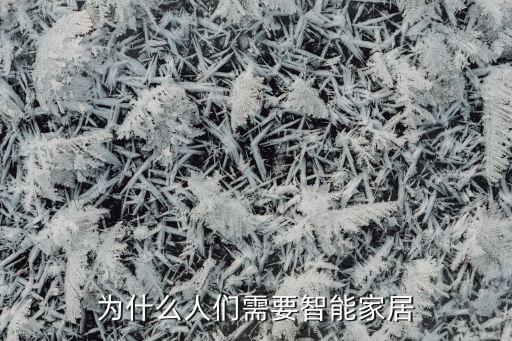 為什么人們需要智能家居