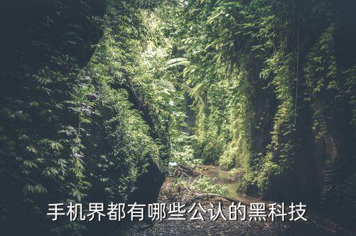 手機(jī)界都有哪些公認(rèn)的黑科技