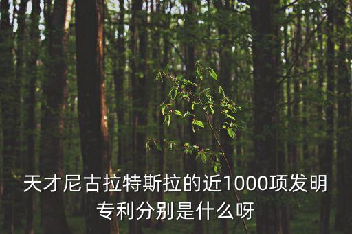 天才尼古拉特斯拉的近1000項發(fā)明專利分別是什么呀