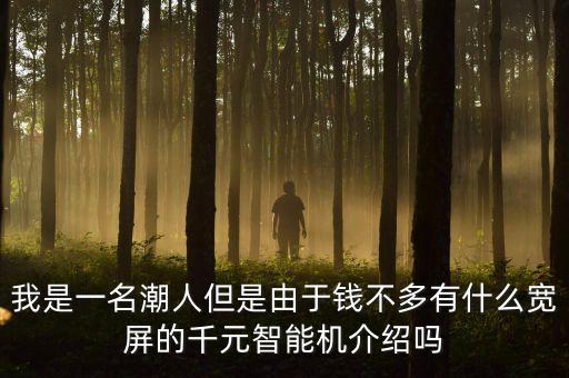 我是一名潮人但是由于錢不多有什么寬屏的千元智能機(jī)介紹嗎