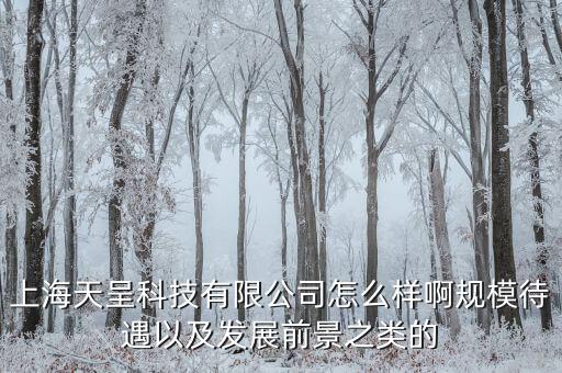 上海天呈科技有限公司怎么樣啊規(guī)模待遇以及發(fā)展前景之類的