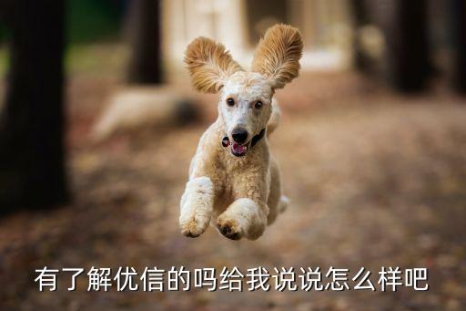 有了解優(yōu)信的嗎給我說說怎么樣吧