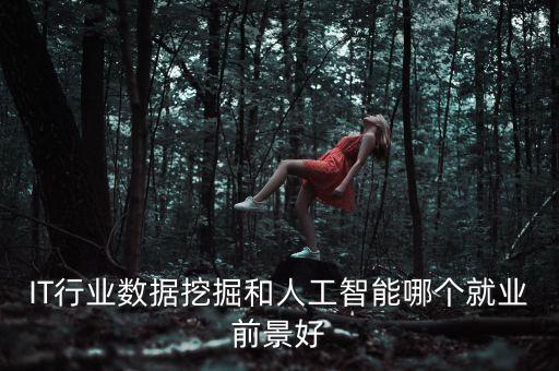 IT行業(yè)數(shù)據(jù)挖掘和人工智能哪個就業(yè)前景好